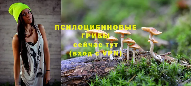 гидра онион  Барабинск  Галлюциногенные грибы MAGIC MUSHROOMS  где найти  